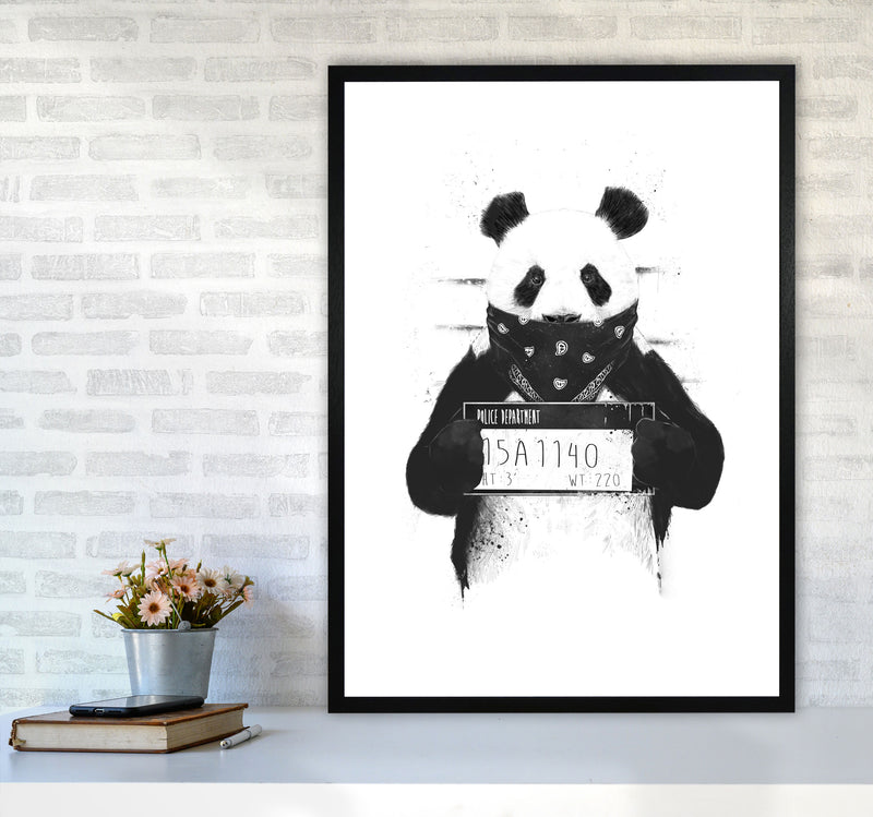 Bad Panda Animal Art Print by Balaz Solti A1 White Frame
