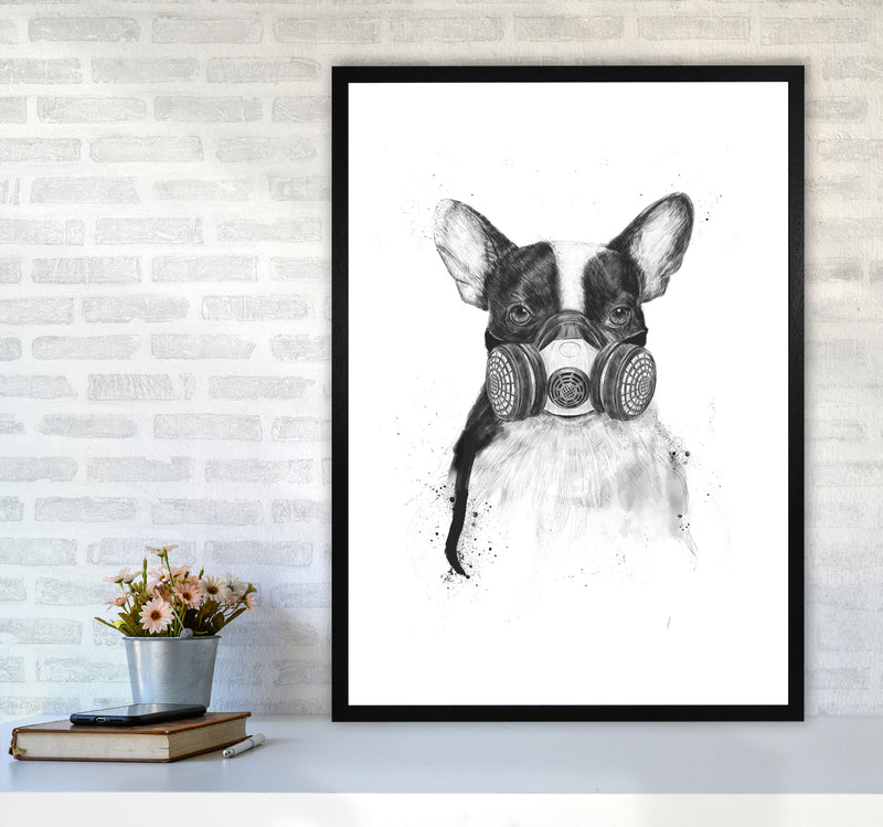 Big City Life Bulldog Animal Art Print by Balaz Solti A1 White Frame