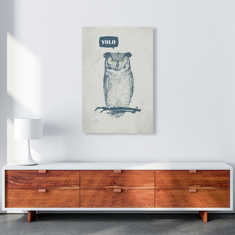 Yolo Owl Animal Art Print by Balaz Solti A1 Canvas