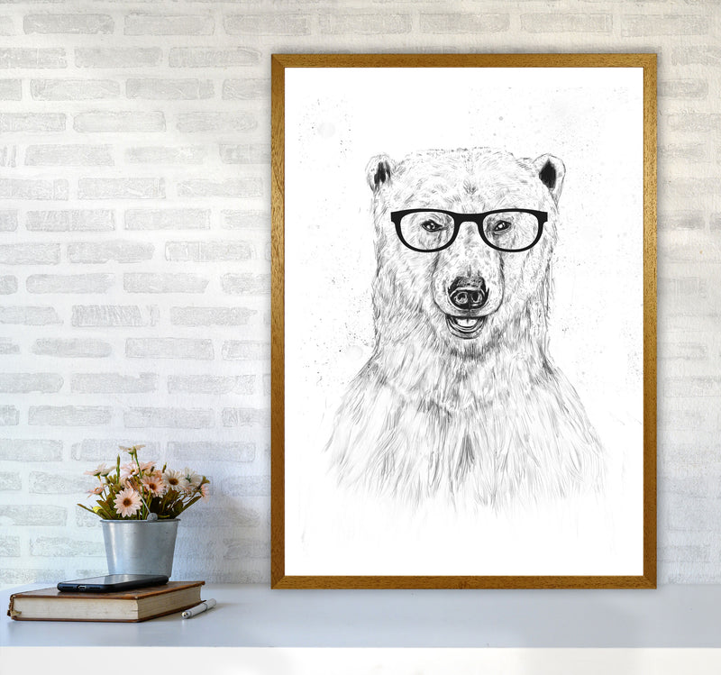 Geeky Bear Animal Art Print by Balaz Solti A1 Print Only