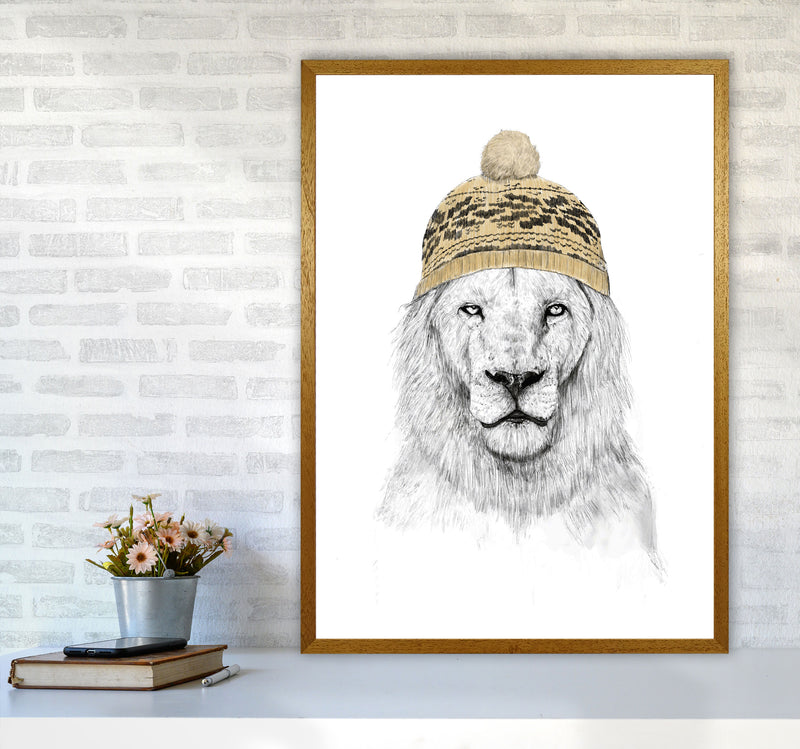 Winter Is Here Animal Art Print by Balaz Solti A1 Print Only