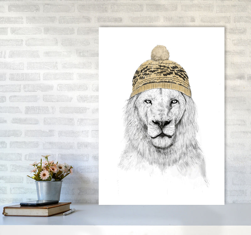 Winter Is Here Animal Art Print by Balaz Solti A1 Black Frame