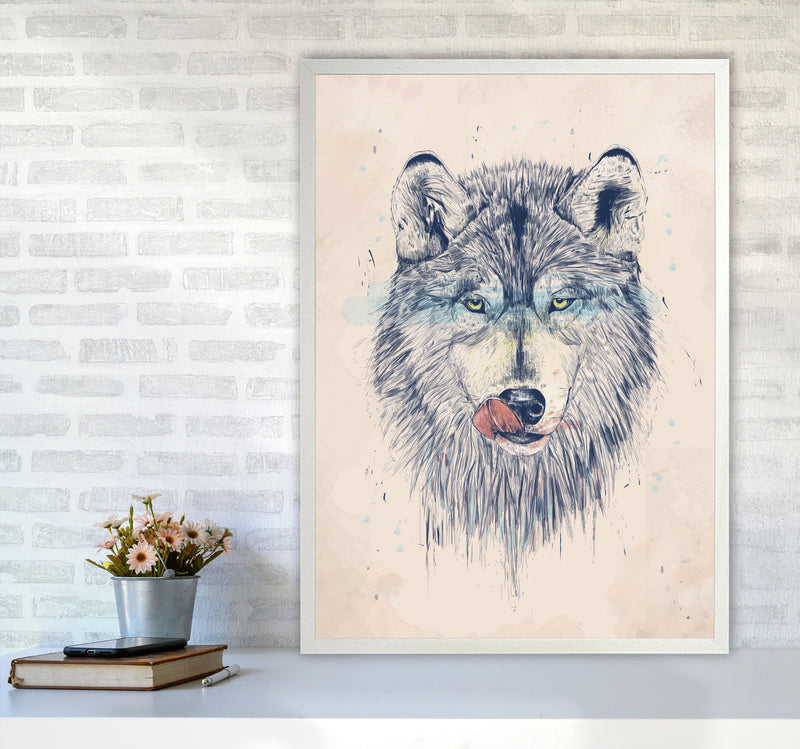 Dinner Time Wolf Animal Art Print by Balaz Solti A1 Oak Frame