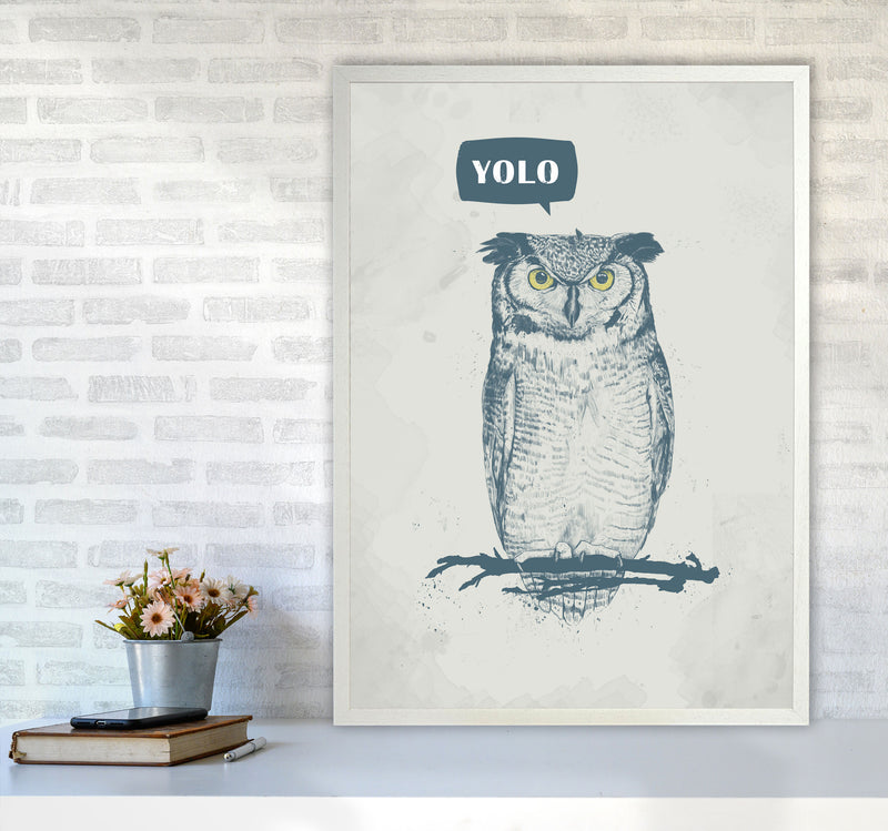 Yolo Owl Animal Art Print by Balaz Solti A1 Oak Frame