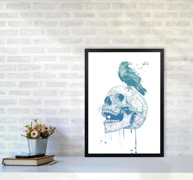 Skull & Raven Colour Animal Art Print by Balaz Solti A2 White Frame