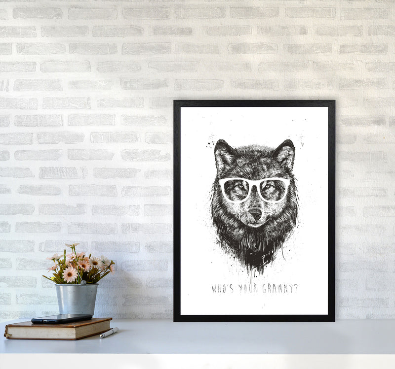 Who's Your Granny? Wolf B&W Animal Art Print by Balaz Solti A2 White Frame