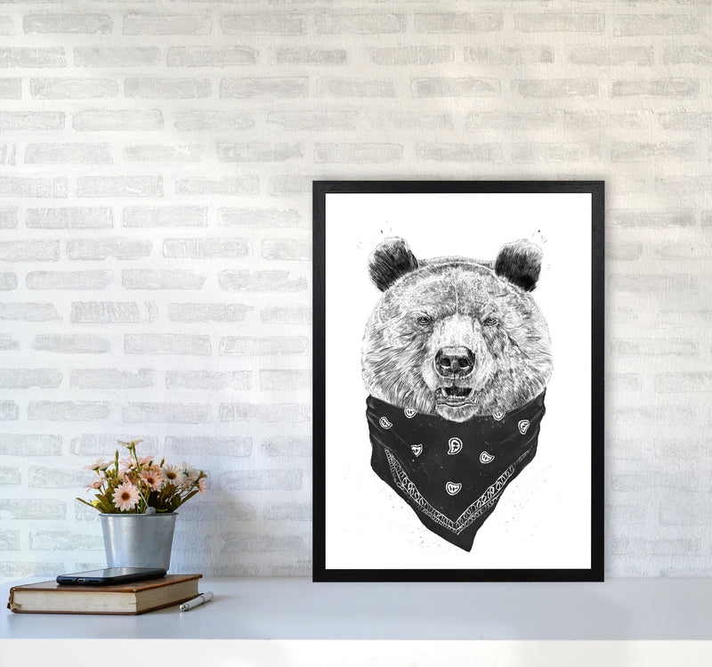 Wild Bear Animal Art Print by Balaz Solti A2 White Frame