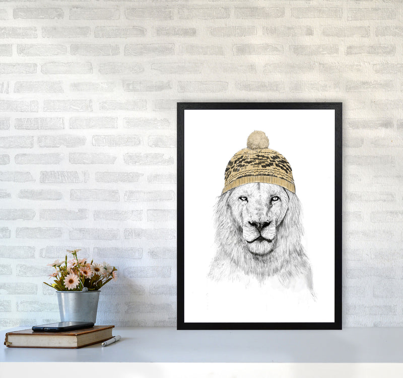 Winter Is Here Animal Art Print by Balaz Solti A2 White Frame