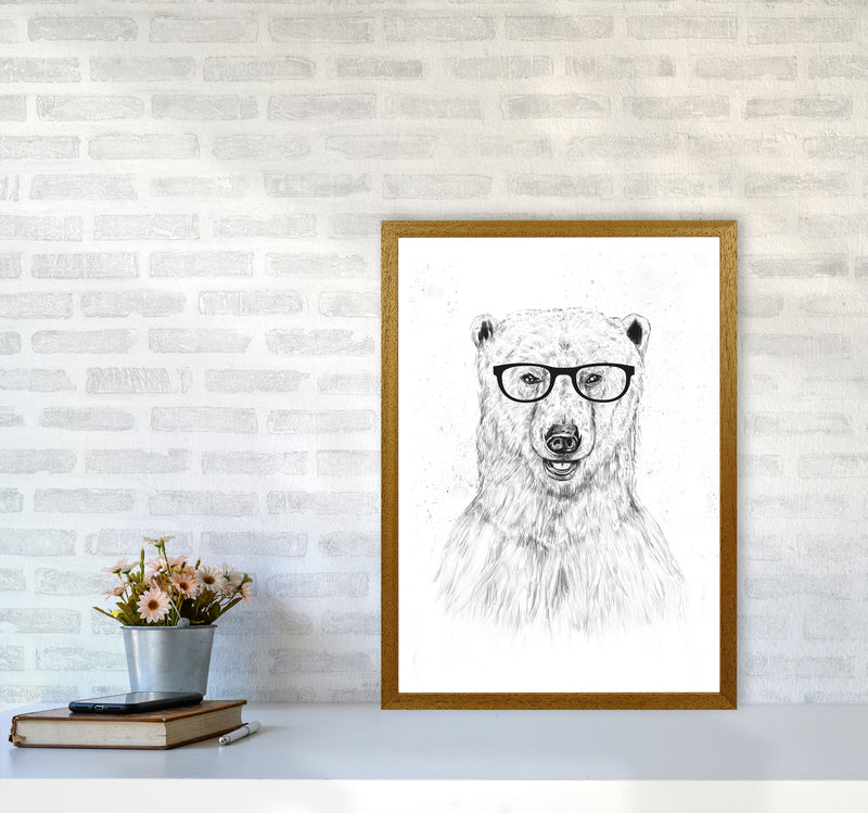 Geeky Bear Animal Art Print by Balaz Solti A2 Print Only