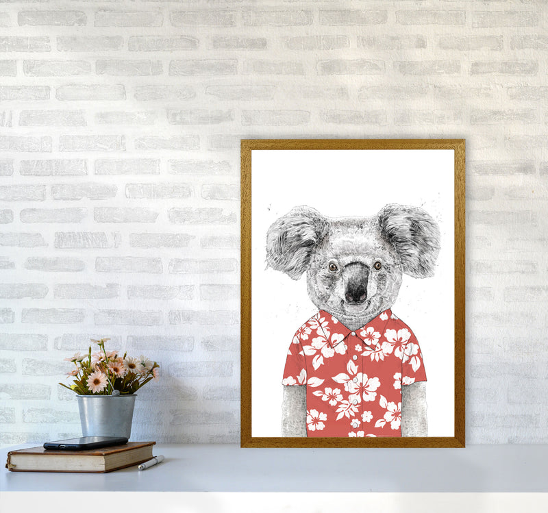Summer Koala Red Animal Art Print by Balaz Solti A2 Print Only