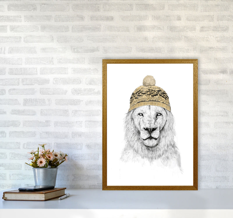 Winter Is Here Animal Art Print by Balaz Solti A2 Print Only