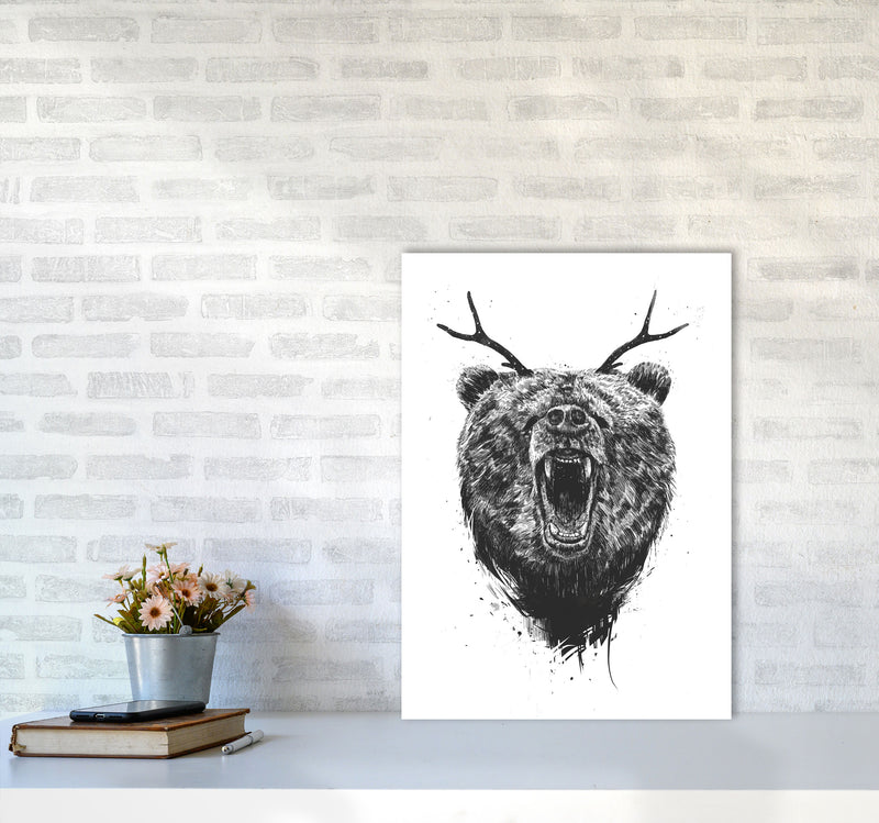 Angry Bear With Antlers Animal Art Print by Balaz Solti A2 Black Frame