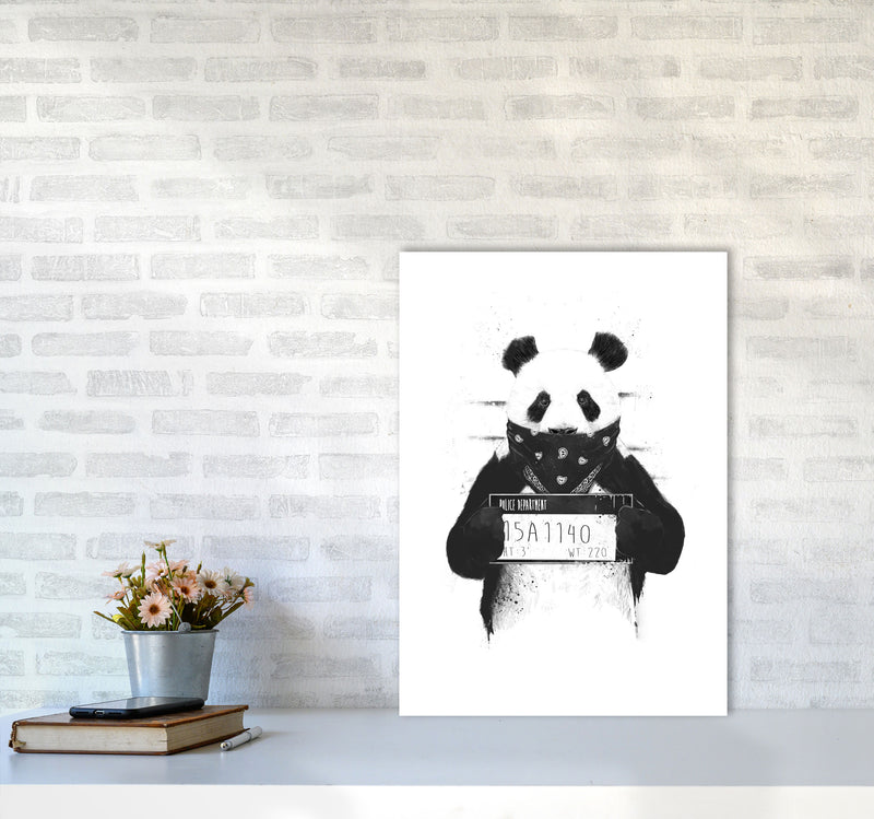 Bad Panda Animal Art Print by Balaz Solti A2 Black Frame