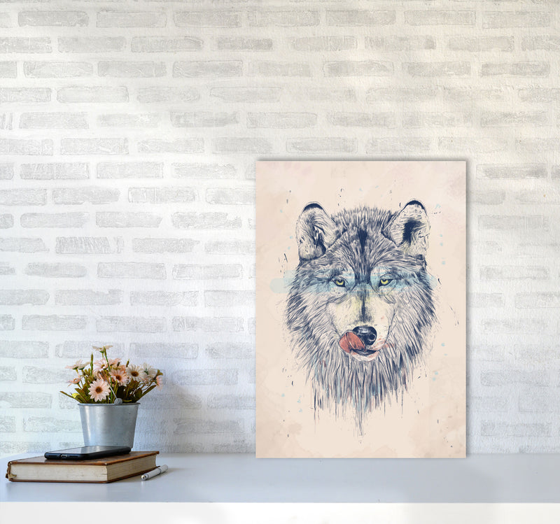 Dinner Time Wolf Animal Art Print by Balaz Solti A2 Black Frame