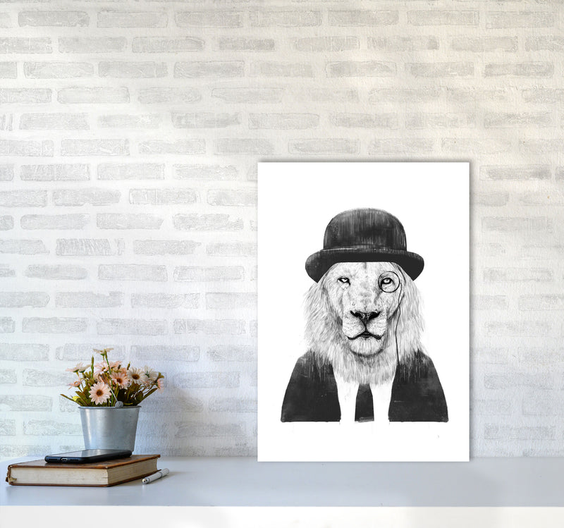 Sir Lion Animal Art Print by Balaz Solti A2 Black Frame