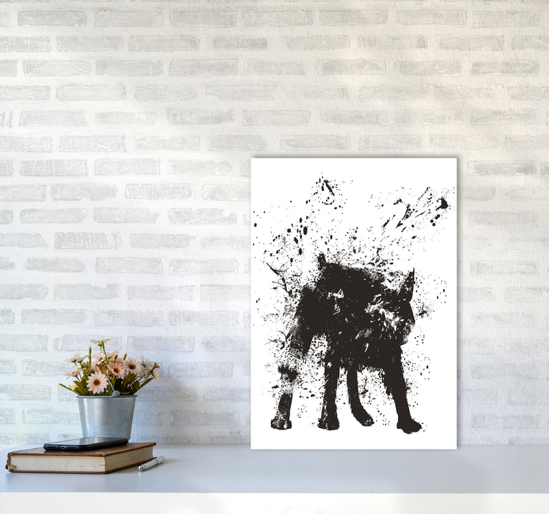 Wet Dog Animal Art Print by Balaz Solti A2 Black Frame