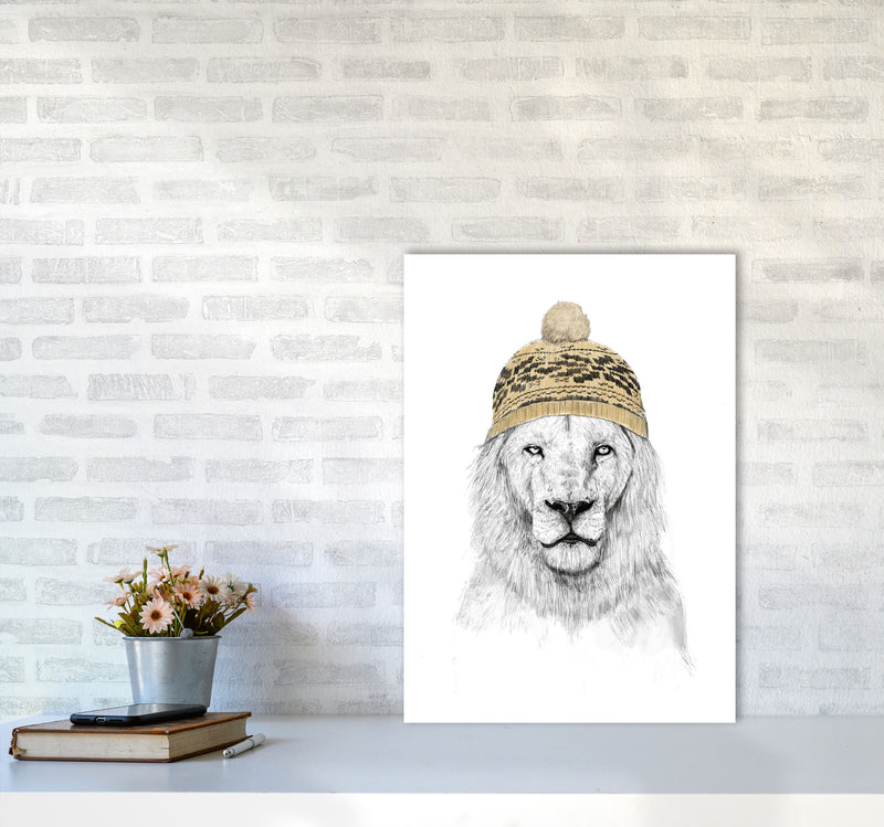 Winter Is Here Animal Art Print by Balaz Solti A2 Black Frame