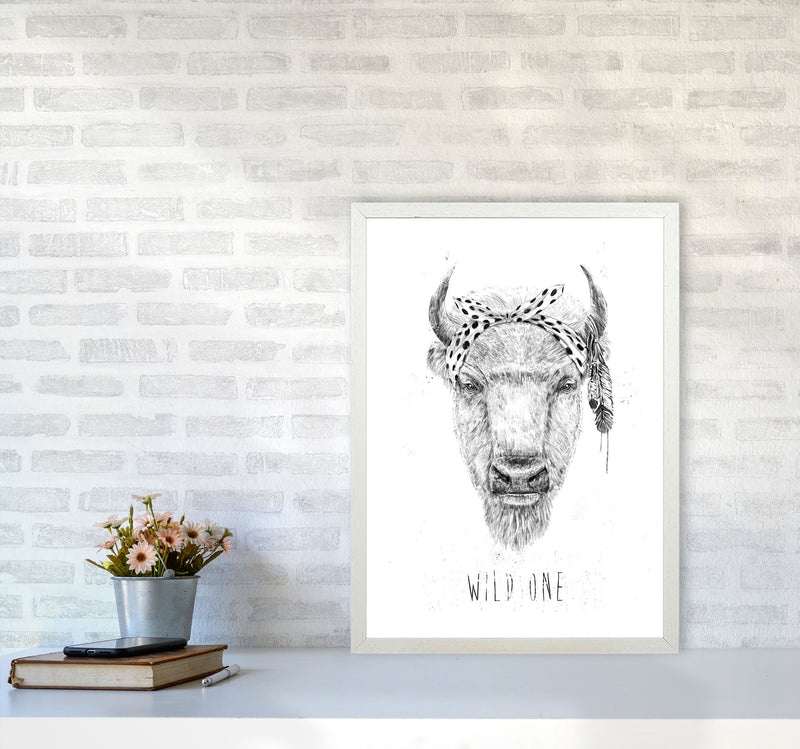 Wild One Buffalo Animal Art Print by Balaz Solti A2 Oak Frame