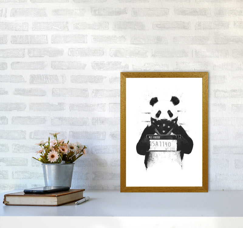 Bad Panda Animal Art Print by Balaz Solti A3 Print Only