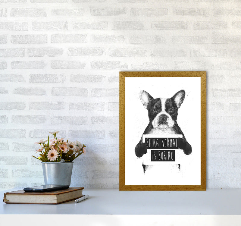 Being Normal Is Boring Animal Art Print by Balaz Solti A3 Print Only