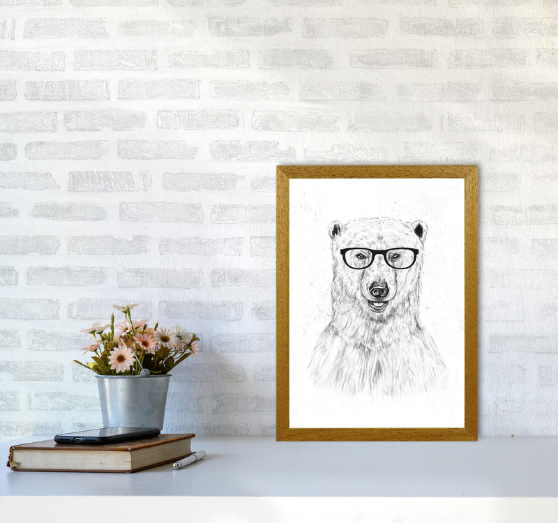 Geeky Bear Animal Art Print by Balaz Solti A3 Print Only