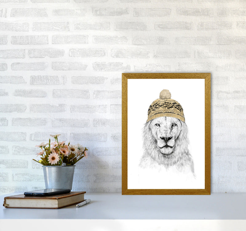 Winter Is Here Animal Art Print by Balaz Solti A3 Print Only