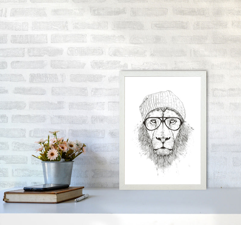 Cool Hipster Lion B&W Animal Art Print by Balaz Solti A3 Oak Frame