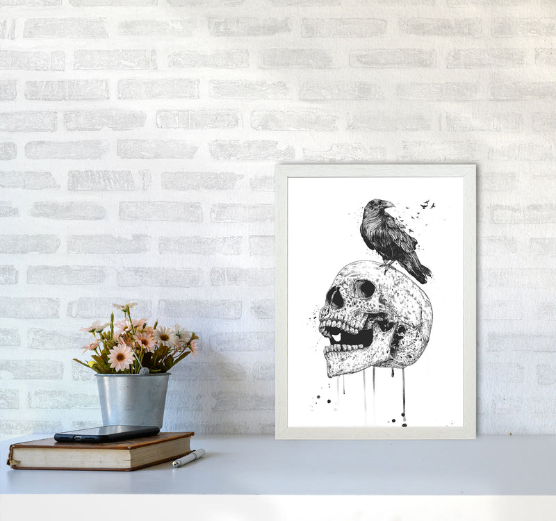 Skull & Raven B&W Animal Art Print by Balaz Solti A3 Oak Frame