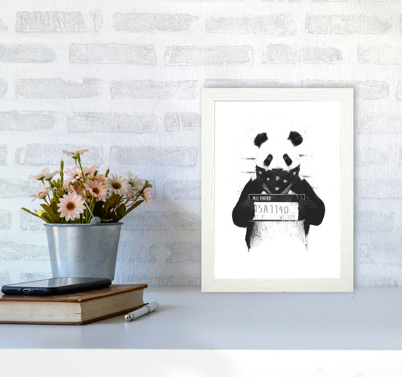 Bad Panda Animal Art Print by Balaz Solti A4 Oak Frame