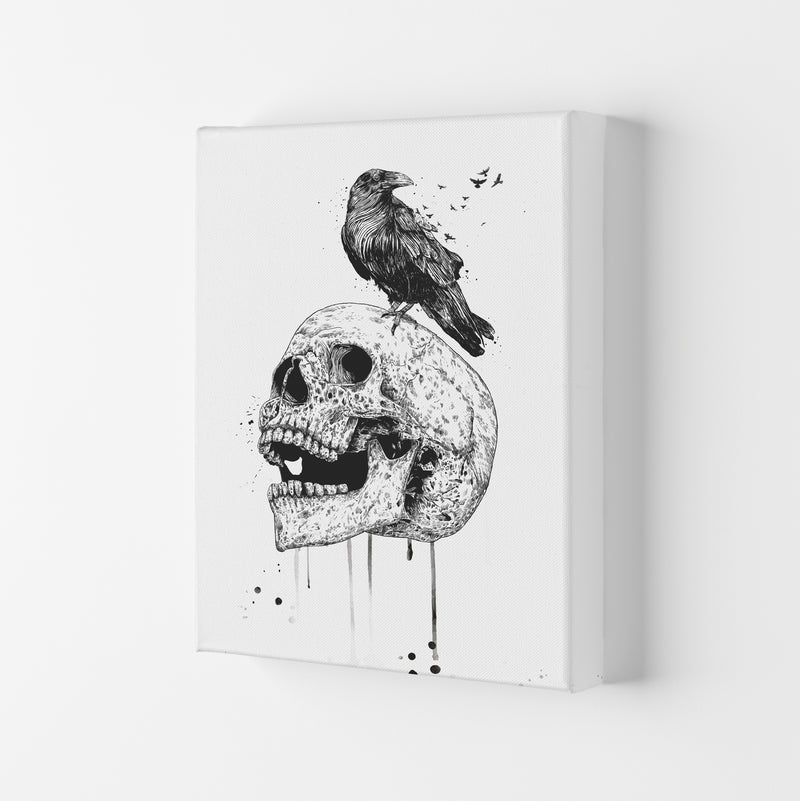 Skull & Raven B&W Animal Art Print by Balaz Solti Canvas