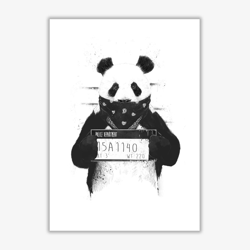 Bad Panda Animal Art Print by Balaz Solti Print Only