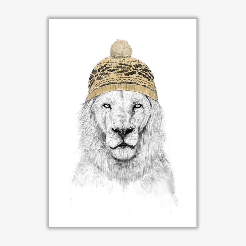 Winter Is Here Animal Art Print by Balaz Solti Print Only