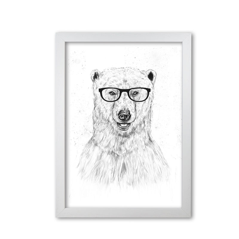 Geeky Bear Animal Art Print by Balaz Solti White Grain