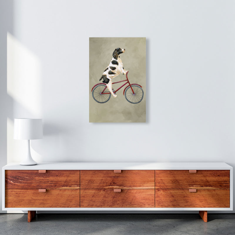 English Springer On Bicycle Art Print by Coco Deparis A2 Canvas