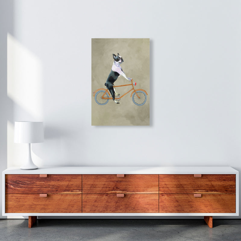 Boston Terrier On Bicycle Art Print by Coco Deparis A2 Canvas