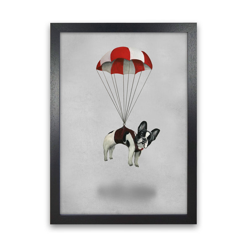 Bulldog With Parachute Art Print by Coco Deparis Black Grain