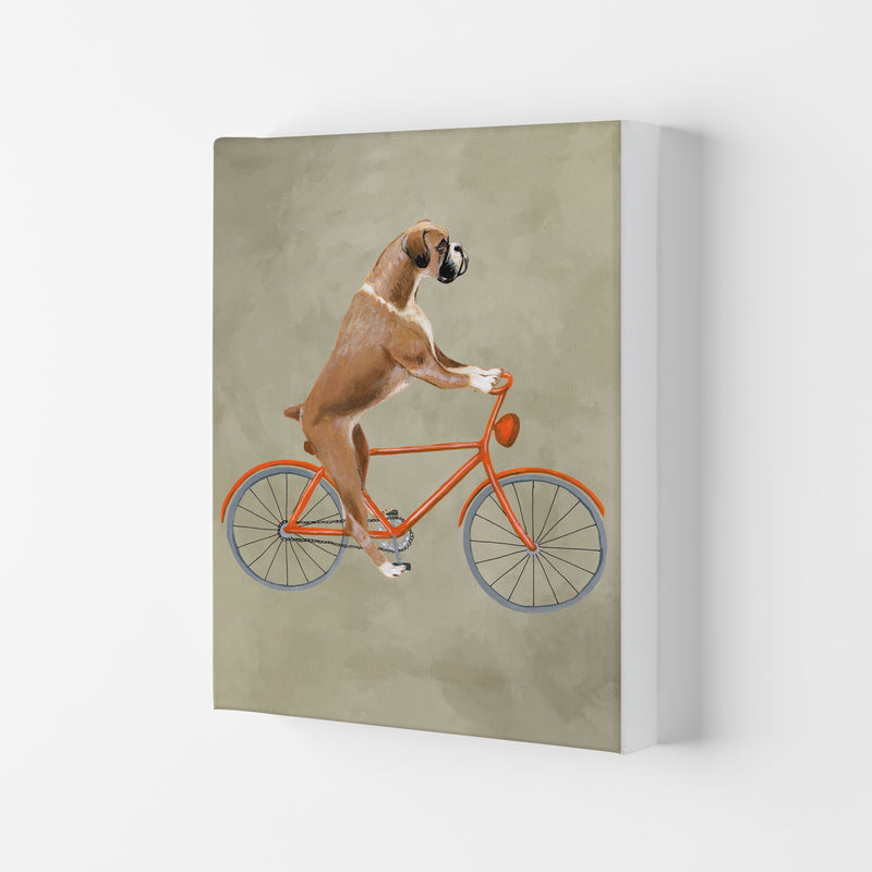 Boxer On Bicycle Art Print by Coco Deparis Canvas