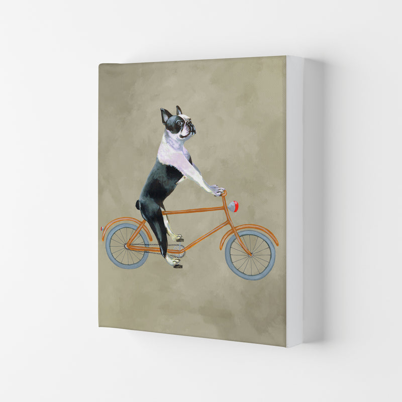 Boston Terrier On Bicycle Art Print by Coco Deparis Canvas