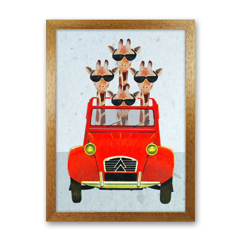Giraffes On Holiday 2 Art Print by Coco Deparis Oak Grain