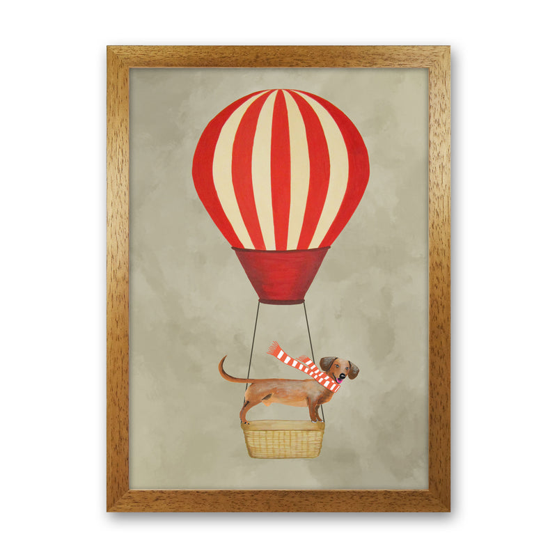 Daschund With Airballoon Art Print by Coco Deparis Oak Grain