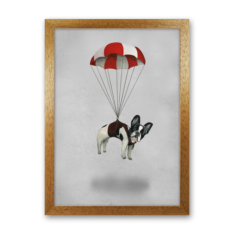 Bulldog With Parachute Art Print by Coco Deparis Oak Grain