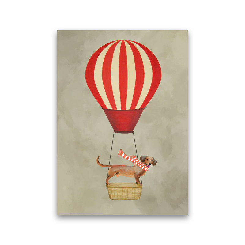 Daschund With Airballoon Art Print by Coco Deparis Print Only