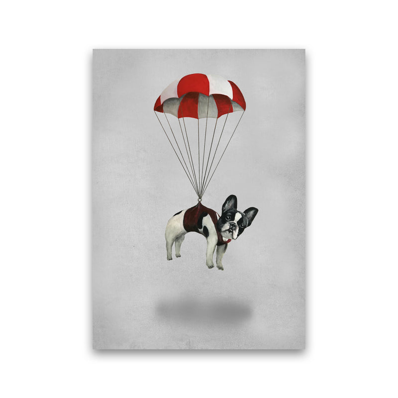 Bulldog With Parachute Art Print by Coco Deparis Print Only