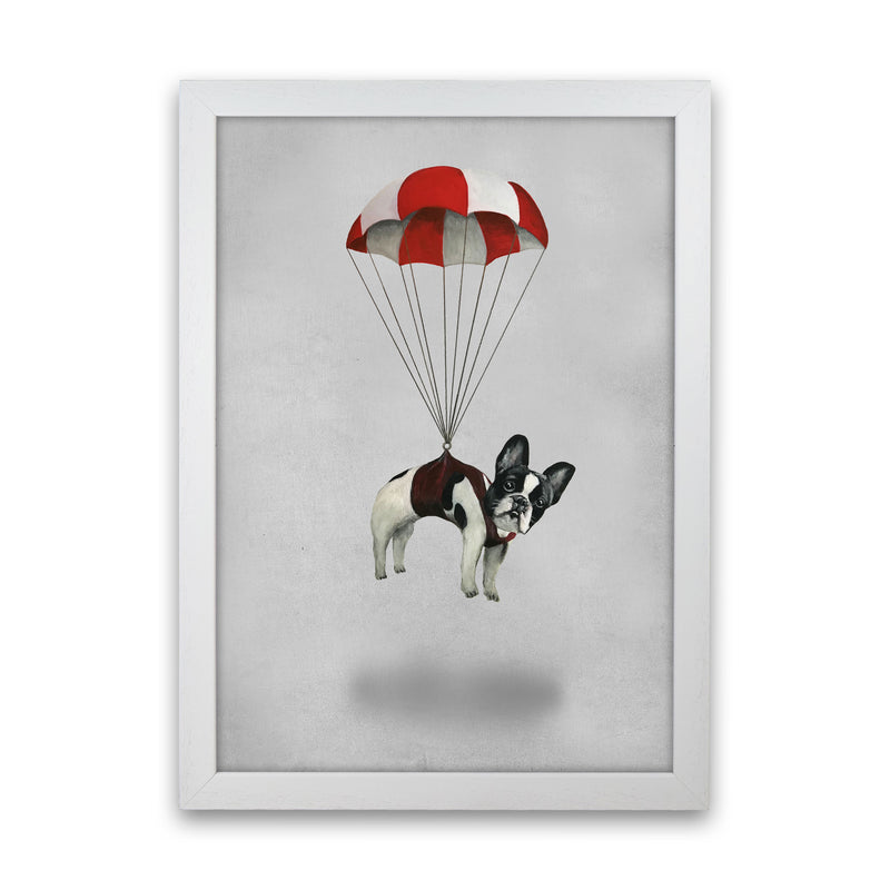 Bulldog With Parachute Art Print by Coco Deparis White Grain