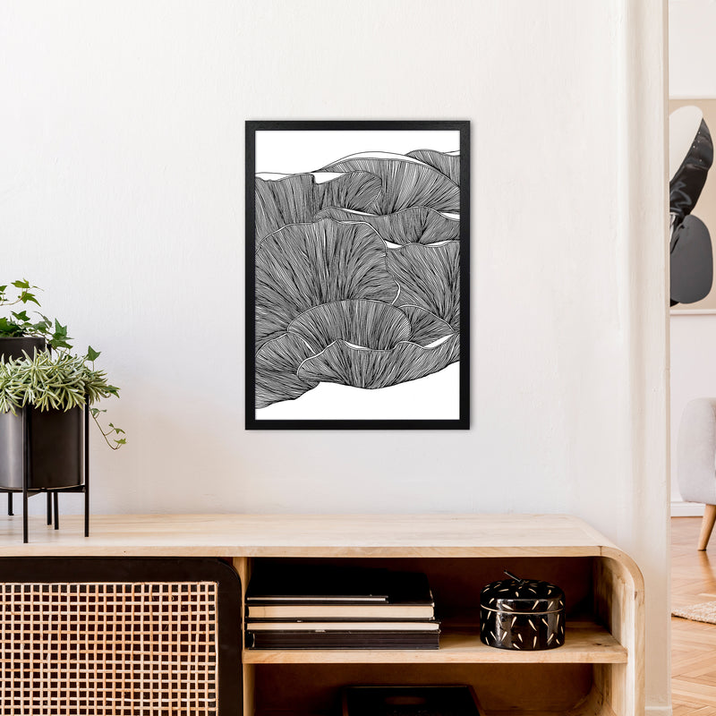 Oyster Mushrooms BW Art Print by Carissa Tanton A2 White Frame