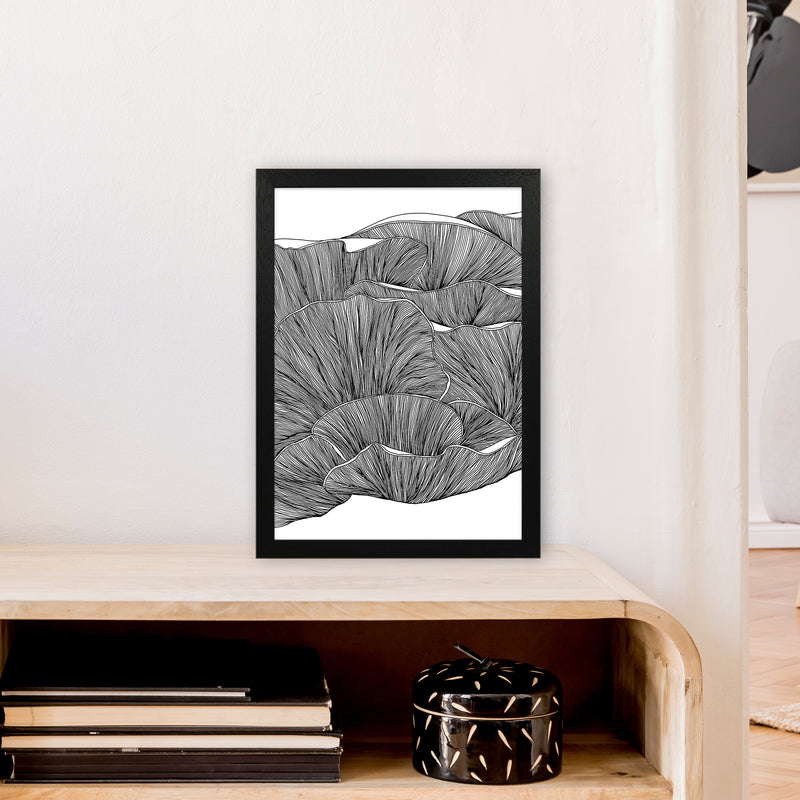 Oyster Mushrooms BW Art Print by Carissa Tanton A3 White Frame