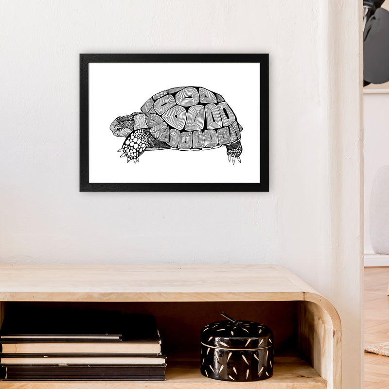 Tortoise Art Print by Carissa Tanton A3 White Frame