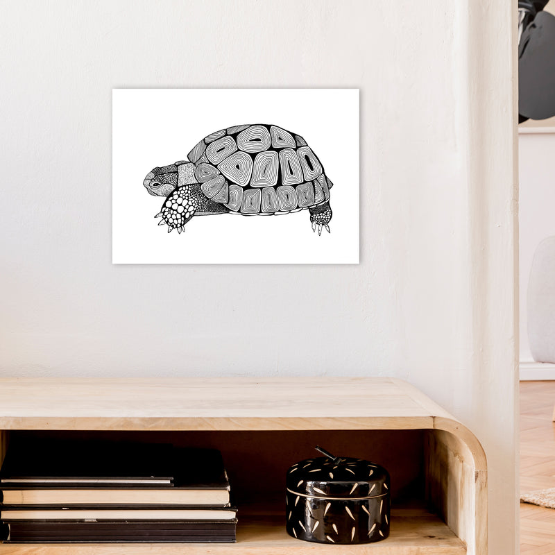 Tortoise Art Print by Carissa Tanton A3 Black Frame
