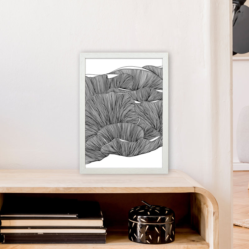 Oyster Mushrooms BW Art Print by Carissa Tanton A3 Oak Frame