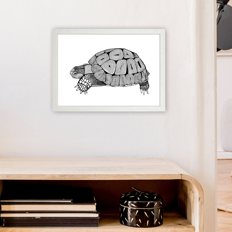 Tortoise Art Print by Carissa Tanton A3 Oak Frame